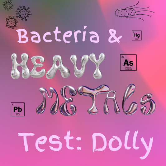 Intertek Heavy Metals Testing- Dolly